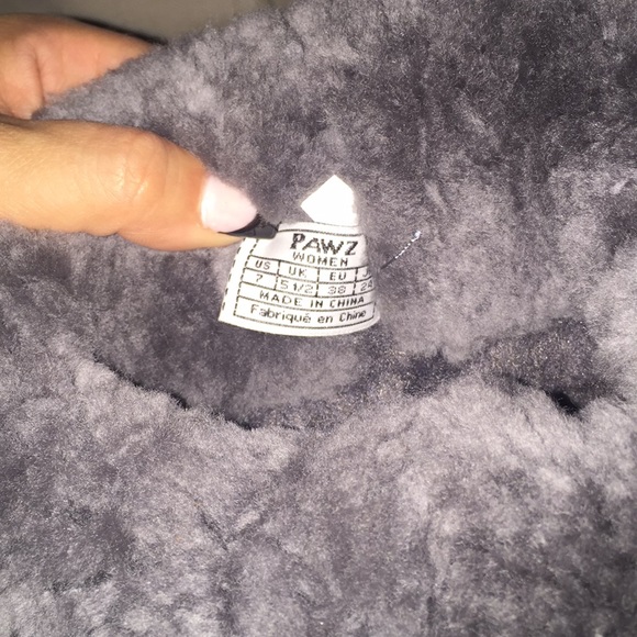 Paws - Picture 2 of 6